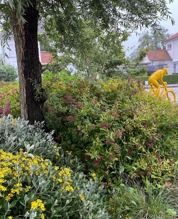 Ferienhaus 14-een Oase Rust Tussen Polders En Kust